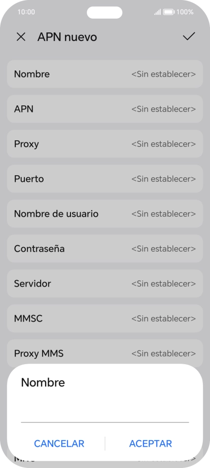 Introduce Vodafone Internet y pulsa ACEPTAR.
