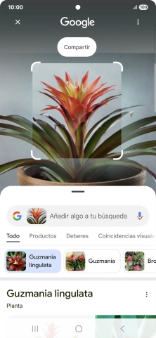 Sigue las indicaciones de la pantalla para utilizar los resultados de búsqueda. Sigue las indicaciones de la pantalla para utilizar los resultados de búsqueda.
