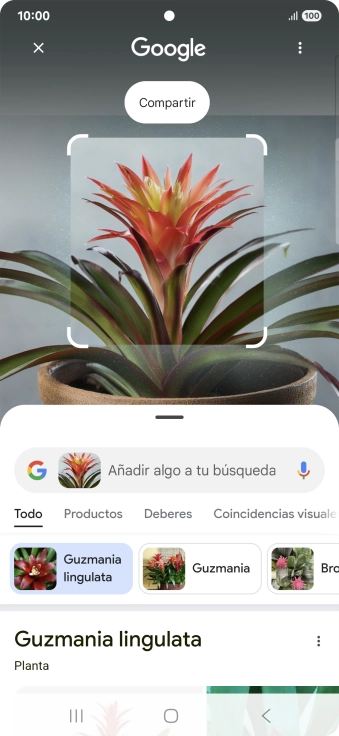 Sigue las indicaciones de la pantalla para utilizar los resultados de búsqueda. Sigue las indicaciones de la pantalla para utilizar los resultados de búsqueda.