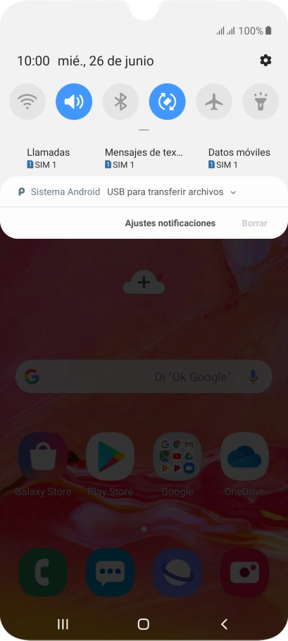 Pulsa Sistema Android.