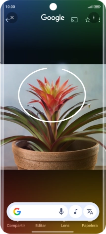 Rodea con un círculo el elemento deseado de la fotografía y espera a que aparezcan los resultados de búsqueda. Rodea con un círculo el elemento deseado de la fotografía y espera a que aparezcan los resultados de búsqueda.