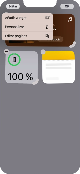 Pulsa Añadir widget. Pulsa Añadir widget.