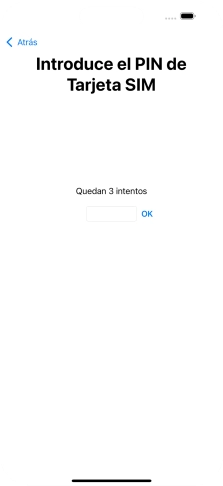 Si es necesario desbloquear la tarjeta SIM, introduce el código PIN y pulsa OK. Si es necesario desbloquear la tarjeta SIM, introduce el código PIN y pulsa OK.