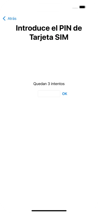 Si es necesario desbloquear la tarjeta SIM, introduce el código PIN y pulsa OK. Si es necesario desbloquear la tarjeta SIM, introduce el código PIN y pulsa OK.