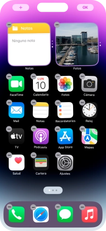 Pulsa el icono de página de pantalla de inicio. Pulsa el icono de página de pantalla de inicio.