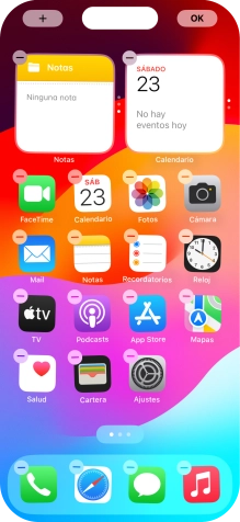 Pulsa el icono de página de pantalla de inicio. Pulsa el icono de página de pantalla de inicio.