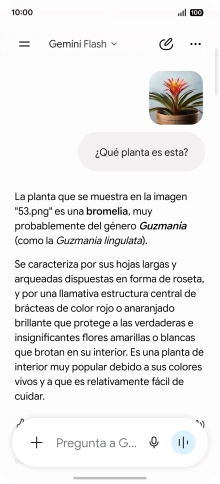 Sigue las indicaciones de la pantalla para escribir o decir en alto la pregunta deseada. Puedes adjuntar fotografías o documentos y hacer preguntas acerca de ellos. Sigue las indicaciones de la pantalla para escribir o decir en alto la pregunta deseada. Puedes adjuntar fotografías o documentos y hacer preguntas acerca de ellos.