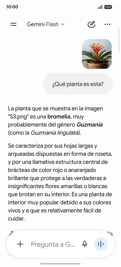 Sigue las indicaciones de la pantalla para escribir o decir en alto la pregunta deseada. Puedes adjuntar fotografías o documentos y hacer preguntas acerca de ellos. Sigue las indicaciones de la pantalla para escribir o decir en alto la pregunta deseada. Puedes adjuntar fotografías o documentos y hacer preguntas acerca de ellos.