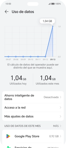El consumo total de datos se visualiza ahora en la pantalla.