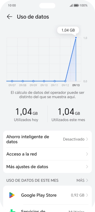 El consumo total de datos se visualiza ahora en la pantalla.