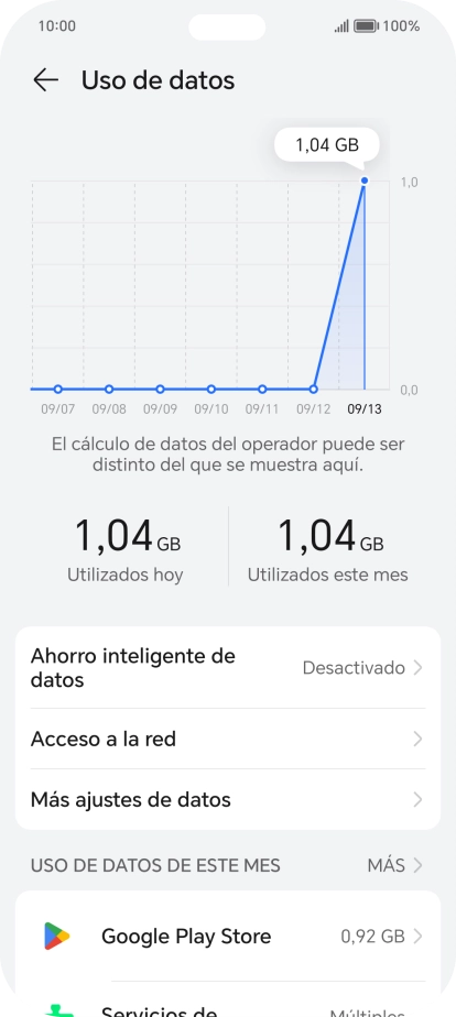 El consumo total de datos se visualiza ahora en la pantalla.