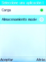 Selecciona Almacenamiento masivo.