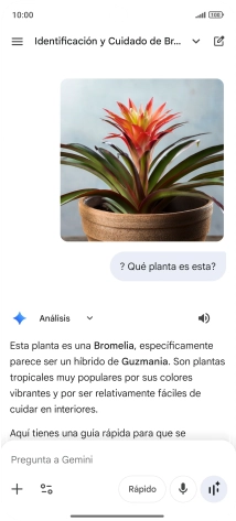 Sigue las indicaciones de la pantalla para escribir o decir en alto la pregunta deseada. Puedes adjuntar fotografías o documentos y hacer preguntas acerca de ellos. Sigue las indicaciones de la pantalla para escribir o decir en alto la pregunta deseada. Puedes adjuntar fotografías o documentos y hacer preguntas acerca de ellos.