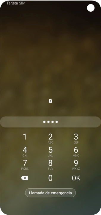 Si lo solicita el teléfono, introduce el código PIN y pulsa OK. Si lo solicita el teléfono, introduce el código PIN y pulsa OK.