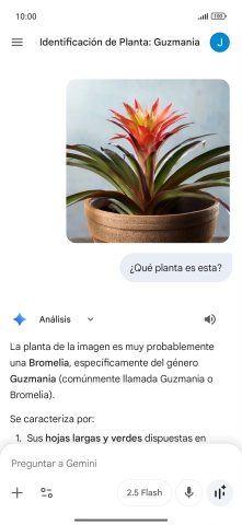 Sigue las indicaciones de la pantalla para escribir o decir en alto la pregunta deseada. Puedes adjuntar fotografías o documentos y hacer preguntas acerca de ellos. Sigue las indicaciones de la pantalla para escribir o decir en alto la pregunta deseada. Puedes adjuntar fotografías o documentos y hacer preguntas acerca de ellos.