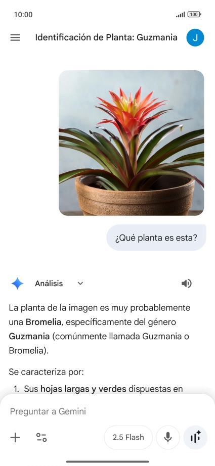 Sigue las indicaciones de la pantalla para escribir o decir en alto la pregunta deseada. Puedes adjuntar fotografías o documentos y hacer preguntas acerca de ellos. Sigue las indicaciones de la pantalla para escribir o decir en alto la pregunta deseada. Puedes adjuntar fotografías o documentos y hacer preguntas acerca de ellos.