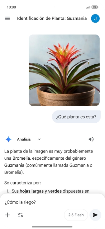 Sigue las indicaciones de la pantalla para escribir o decir en alto más preguntas y continuar la conversación. Sigue las indicaciones de la pantalla para escribir o decir en alto más preguntas y continuar la conversación.
