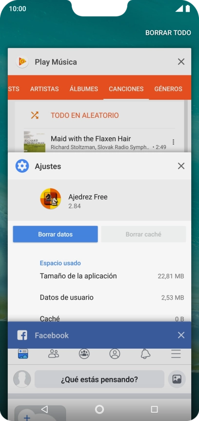 Pulsa BORRAR TODO.