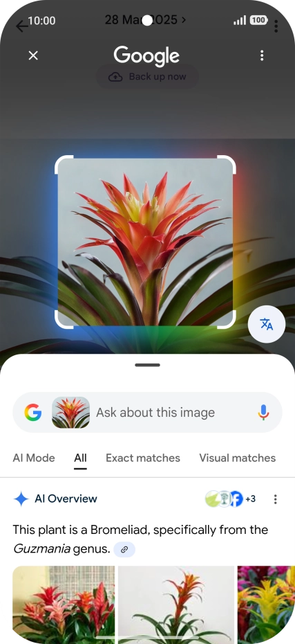 Follow the instructions on the screen to use the search results.