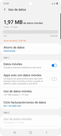 El consumo total de datos se visualiza ahora en la pantalla.