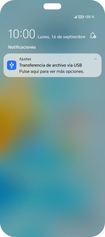 Pulsa Pulse aquí para ver más opciones.. Pulsa Pulse aquí para ver más opciones..