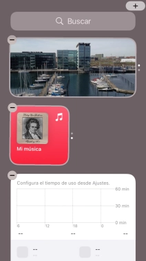 Pulsa la tecla de inicio. Pulsa la tecla de inicio.