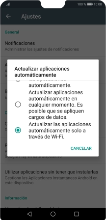 Para activar la actualización automática de apps utilizando la red móvil, pulsa Actualizar aplicaciones automáticamente en cualquier momento. Es posible que se apliquen cargos de datos.. Para activar la actualización automática de apps utilizando la red móvil, pulsa Actualizar aplicaciones automáticamente en cualquier momento. Es posible que se apliquen cargos de datos..