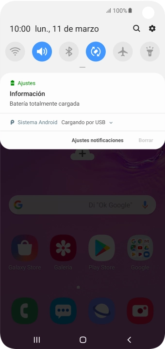 Pulsa Sistema Android.