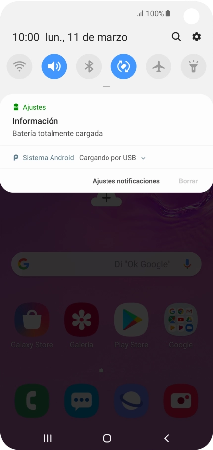 Pulsa Sistema Android.
