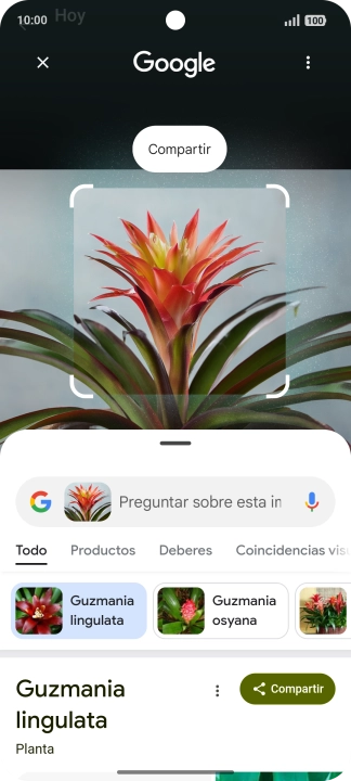 Sigue las indicaciones de la pantalla para utilizar los resultados de búsqueda.