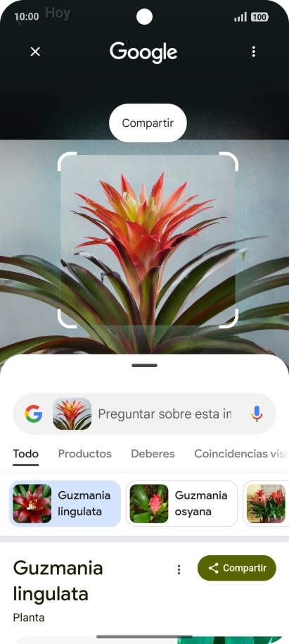 Sigue las indicaciones de la pantalla para utilizar los resultados de búsqueda.