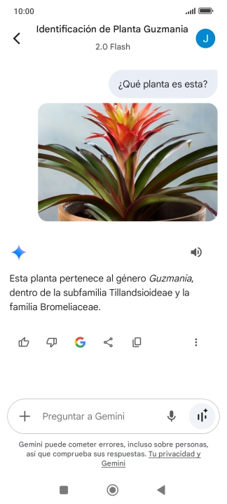 Sigue las indicaciones de la pantalla para escribir o decir en alto la pregunta deseada. Puedes adjuntar fotografías o documentos y hacer preguntas acerca de ellos. Sigue las indicaciones de la pantalla para escribir o decir en alto la pregunta deseada. Puedes adjuntar fotografías o documentos y hacer preguntas acerca de ellos.