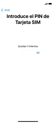 Si es necesario desbloquear la tarjeta SIM, introduce el código PIN y pulsa OK. Si es necesario desbloquear la tarjeta SIM, introduce el código PIN y pulsa OK.