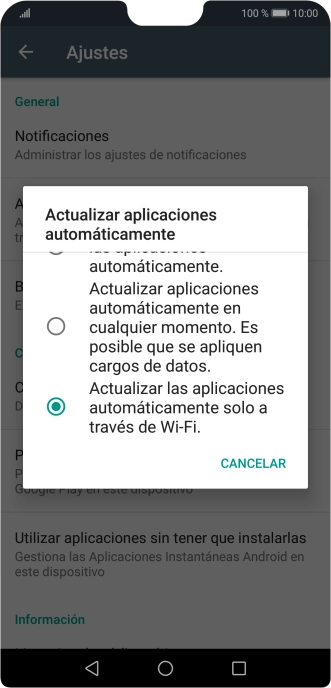 Para activar la actualización automática de apps utilizando la red móvil, pulsa Actualizar aplicaciones automáticamente en cualquier momento. Es posible que se apliquen cargos de datos..