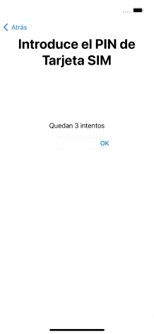 Si es necesario desbloquear la tarjeta SIM, introduce el código PIN y pulsa OK. Si es necesario desbloquear la tarjeta SIM, introduce el código PIN y pulsa OK.