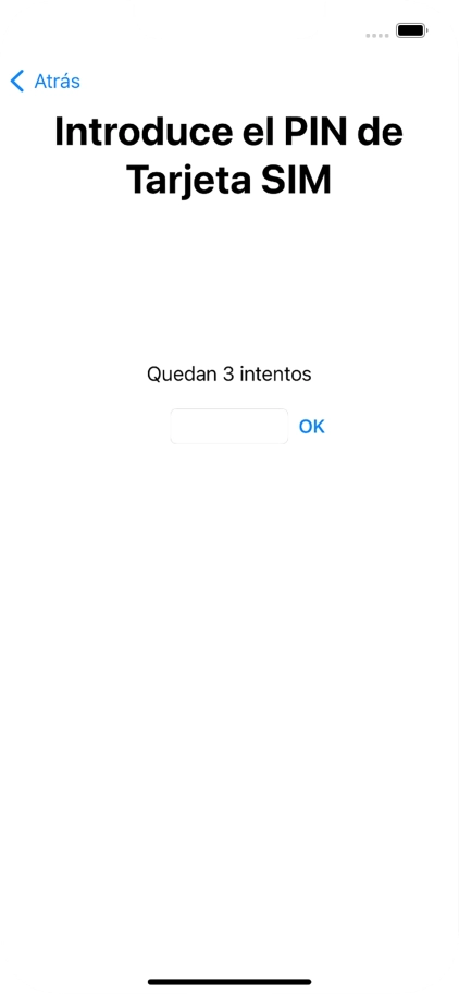 Si es necesario desbloquear la tarjeta SIM, introduce el código PIN y pulsa OK. Si es necesario desbloquear la tarjeta SIM, introduce el código PIN y pulsa OK.