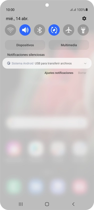 Pulsa Sistema Android.