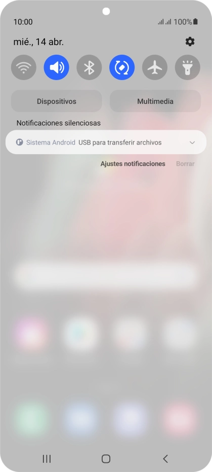 Pulsa Sistema Android.