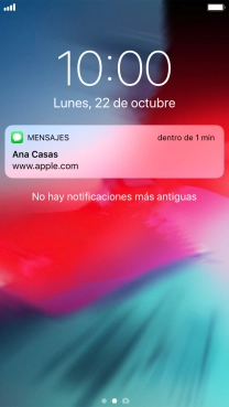 Pulsa la notificación deseada y sigue las indicaciones de la pantalla para utilizar la función seleccionada.