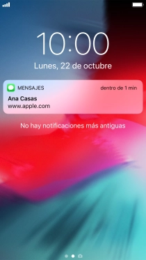 Pulsa la notificación deseada y sigue las indicaciones de la pantalla para utilizar la función seleccionada.