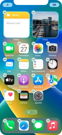 Pulsa el icono de página de pantalla de inicio.