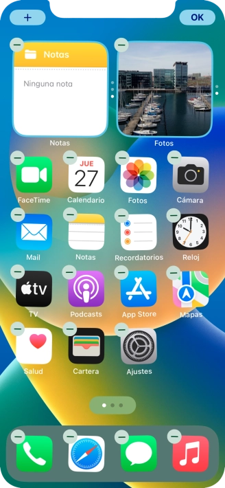 Pulsa el icono de página de pantalla de inicio.