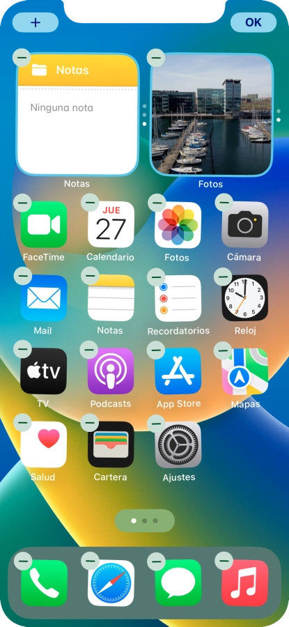Pulsa el icono de página de pantalla de inicio.