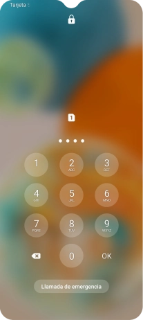 Si lo solicita el teléfono, introduce el código PIN y pulsa OK.