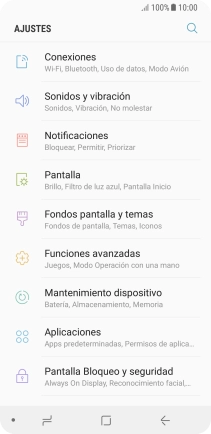 Pulsa Pantalla Bloqueo y seguridad.