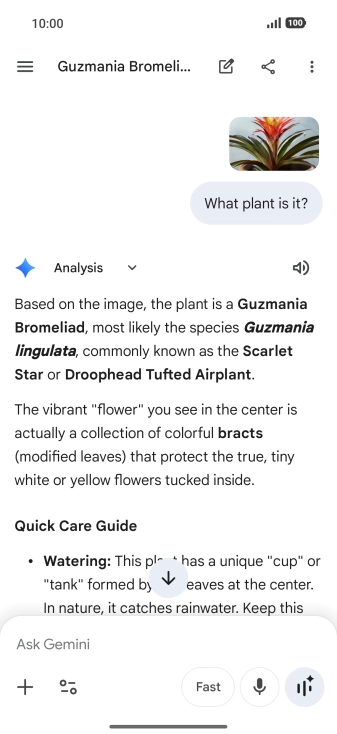 Follow the instructions on the screen to type or speak the required question. You can also attach pictures or documents and ask questions to them.