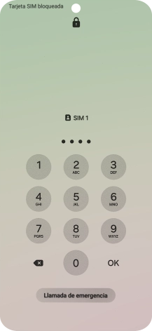 Si es necesario desbloquear la tarjeta SIM, introduce el código PIN y pulsa OK.