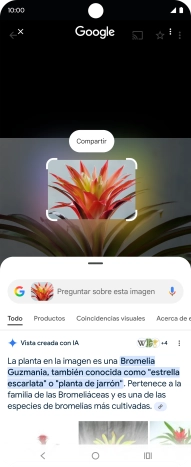Mantén pulsada la tecla de inicio durante unos instantes. Mantén pulsada la tecla de inicio durante unos instantes.