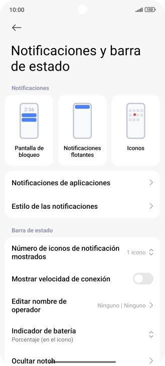 Pulsa Notificaciones de aplicaciones.