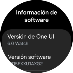 Bajo Versión software aparece la versión de software del smartwatch. Bajo Versión software aparece la versión de software del smartwatch.